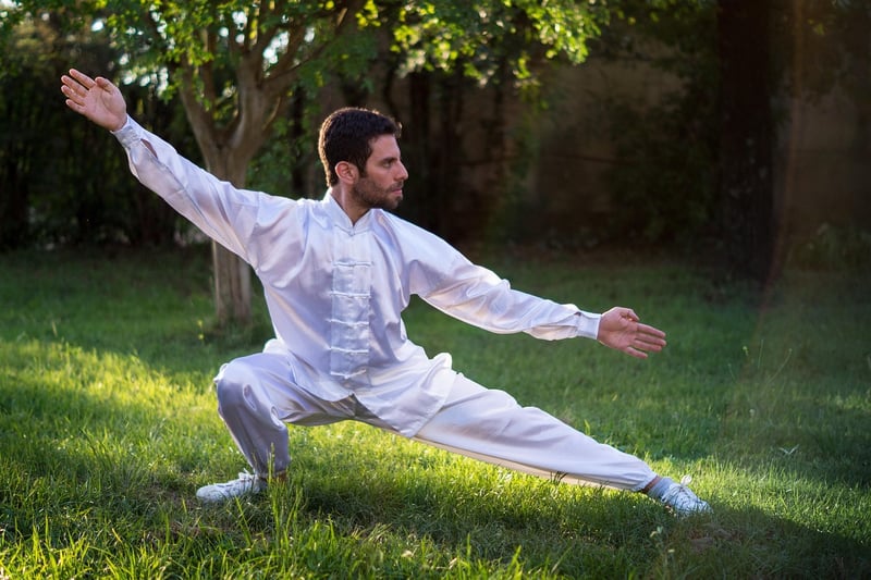 Mindful Tai Chi Forms